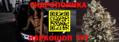 гидропоника Бийск