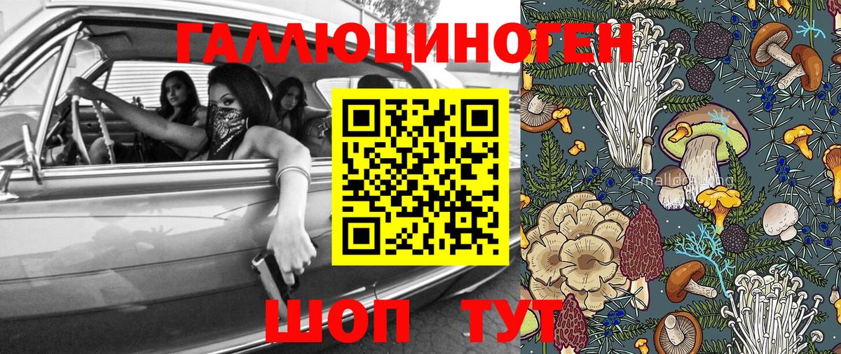 Галлюциногенные грибы прущие грибы Ипатово