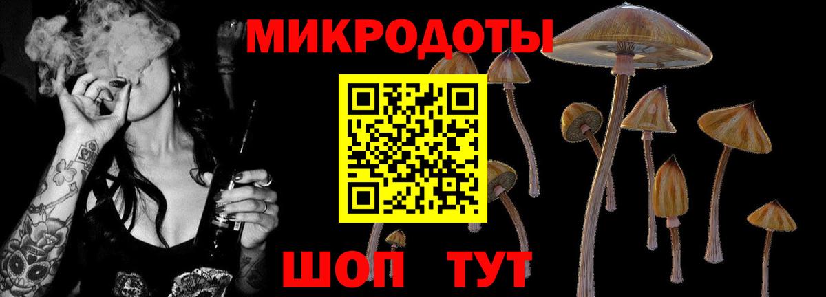 Галлюциногенные грибы ЛСД  Галлюциногенные грибы прущие грибы  хочу   Ипатово  Вход с VPN 